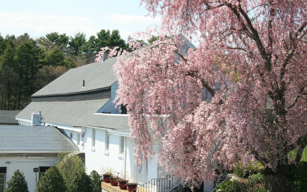 Echo Bridge Office Park, Newton Upper Falls, MA